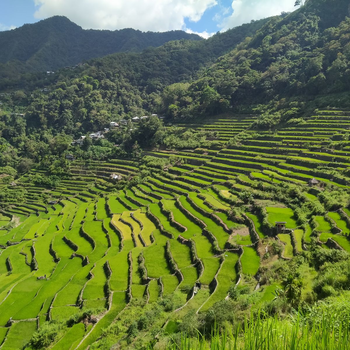 Batad, Ifugao — Batad, Ifugao tour package Philippines